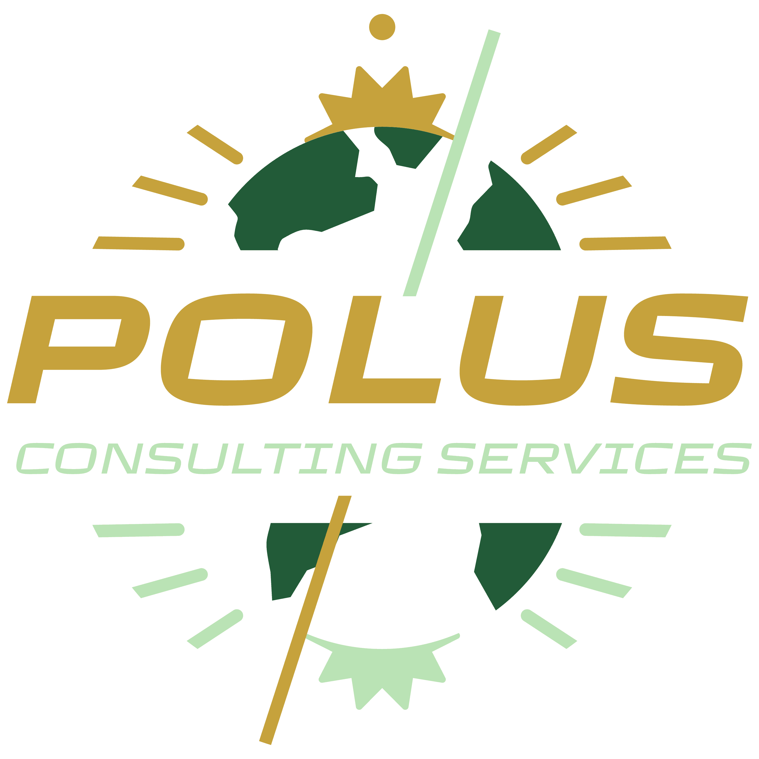 Polus LLC Logo